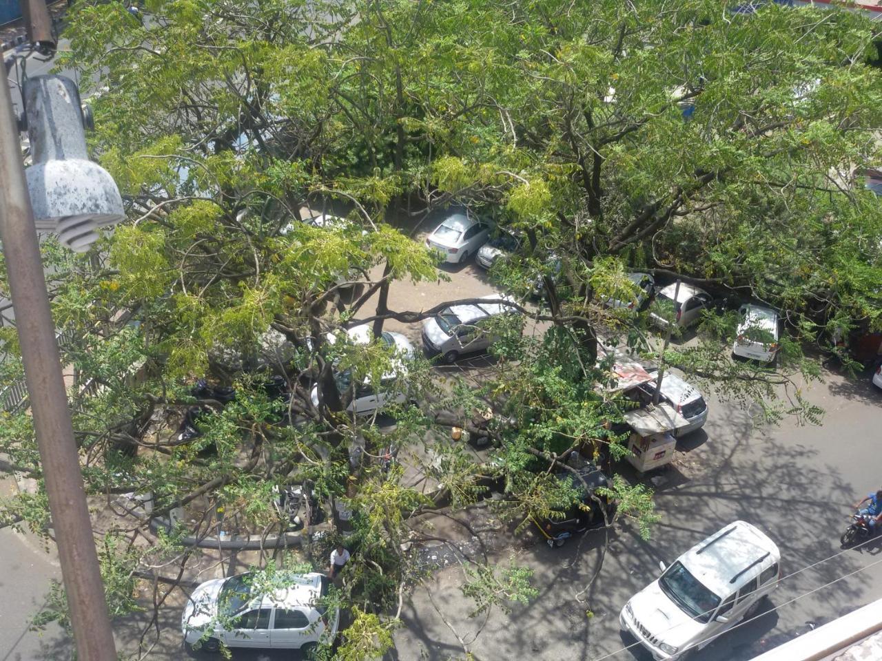 Hotel Tapti Saral Bhopal Bagian luar foto